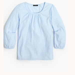 J. Crew Sky Blue Textured Tee